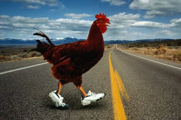 Descubre el Mito de la Carretera del Pollo en España y sus Casino Asociados, chicken road españa